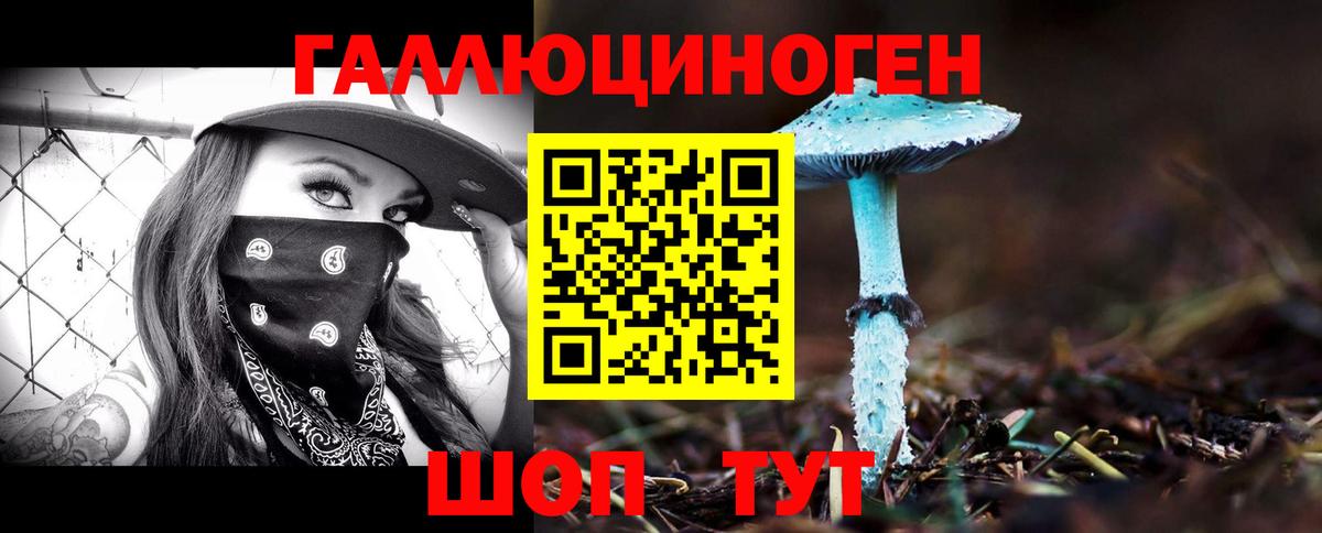где купить наркотик  Вход с VPN  Каменск-Уральский  Псилоцибиновые грибы прущие грибы 